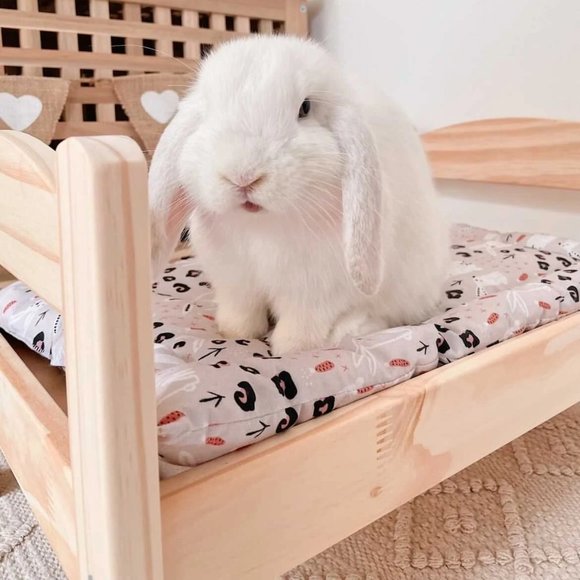 IKEA DUKTIG Pet bed with bedlinen set, pine, multicolor - Picture 14 of 17